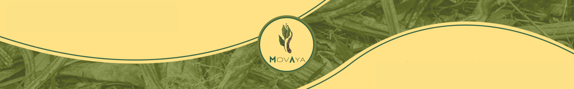 MovAya